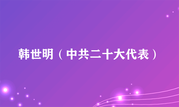韩世明（中共二十大代表）