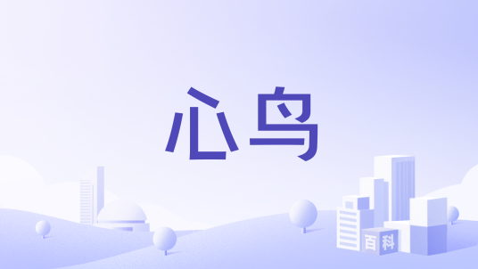 心鸟(男装品牌)