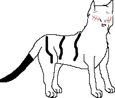 长尾（小说《猫武士》中的角色）