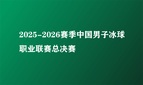 2025-2026赛季中国男子冰球职业联赛总决赛