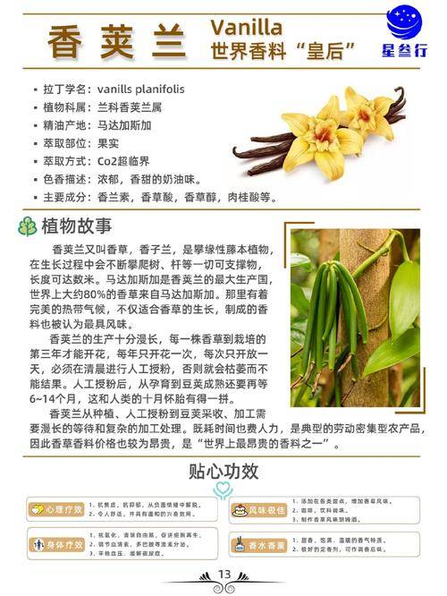 香荚