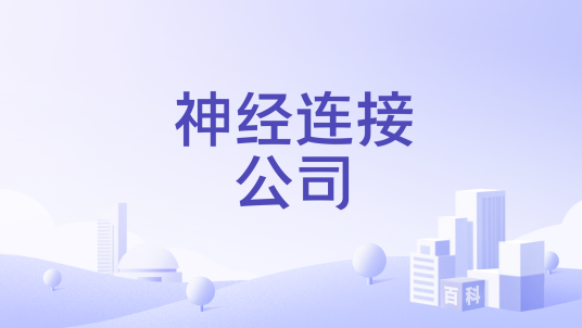 神经连接公司