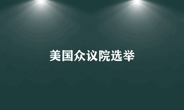 美国众议院选举