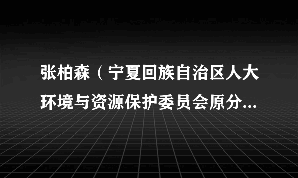 张柏森（宁夏回族自治区人大环境与资源保护委员会原分党组书记、主任委员）