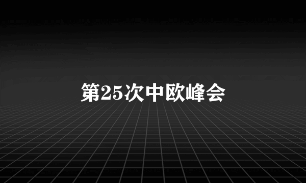 第25次中欧峰会