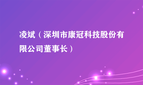 凌斌（深圳市康冠科技股份有限公司董事长）