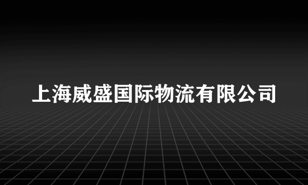上海威盛国际物流有限公司