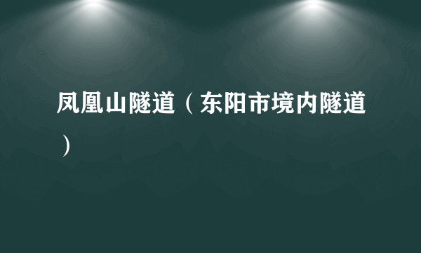 凤凰山隧道（东阳市境内隧道）