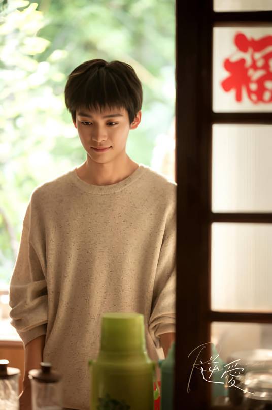 吴所畏（电视剧《逆爱》中的角色）