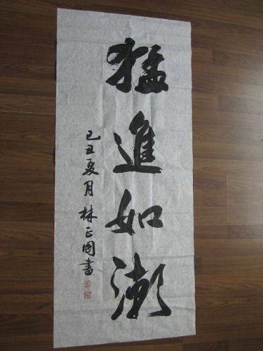 猛进如潮