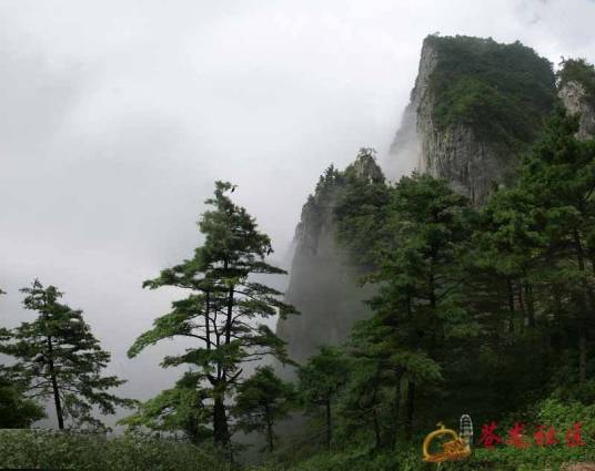 苍龙社区