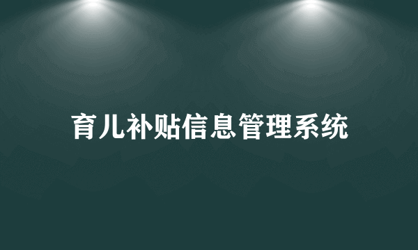 育儿补贴信息管理系统