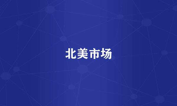 北美市场
