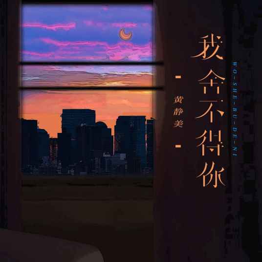 我舍不得你(黄静美演唱的歌曲)