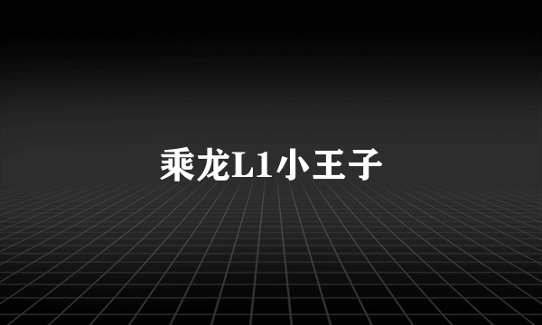 乘龙L1小王子