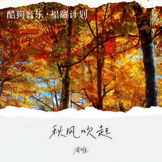 秋风吹起（清唯演唱歌曲）