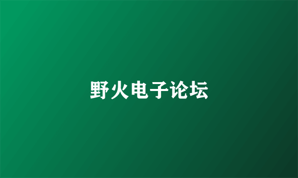 野火电子论坛