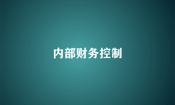 内部财务控制