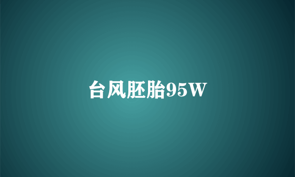 台风胚胎95W