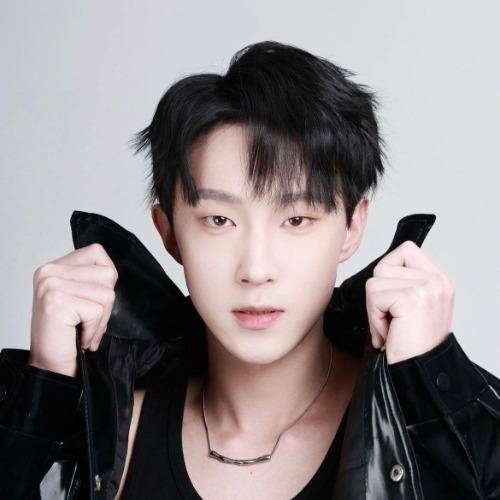 吕振华（男演员）