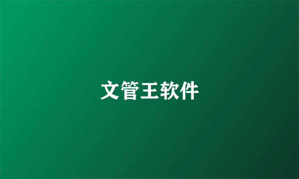 文管王软件