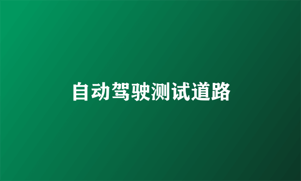 自动驾驶测试道路