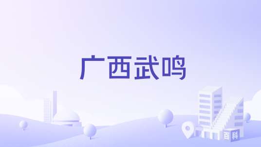 广西武鸣
