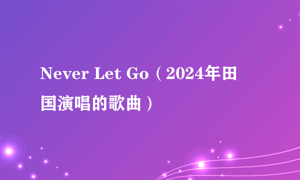 Never Let Go（2024年田柾国演唱的歌曲）