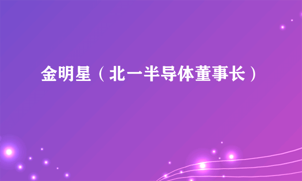 金明星（北一半导体董事长）