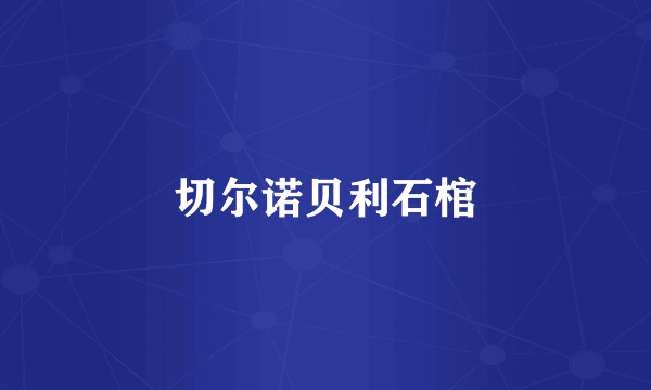 切尔诺贝利石棺