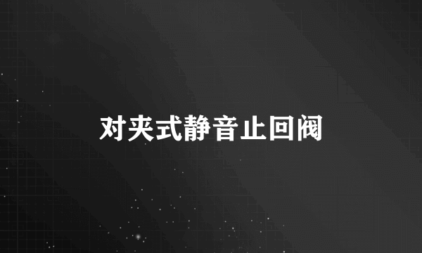对夹式静音止回阀