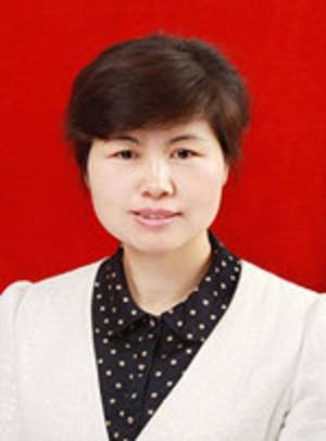 王亚珍（陕西省汉中市西乡县委书记、县人武部党委第一书记）