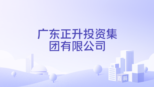 广东正升投资集团有限公司