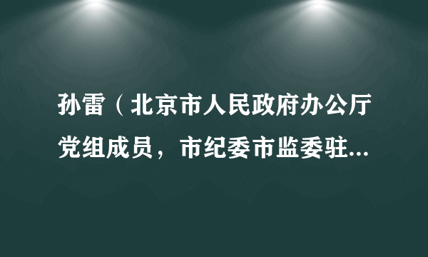 孙雷（北京市人民政府办公厅党组成员，市纪委市监委驻市人民政府办公厅纪检监察组组长）