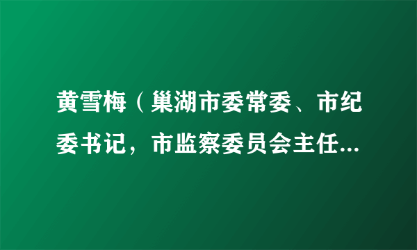 黄雪梅（巢湖市委常委、市纪委书记，市监察委员会主任、安巢经开区党工委委员、纪检监察工委书记）