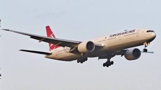 7·29土耳其航空客机紧急降落事件