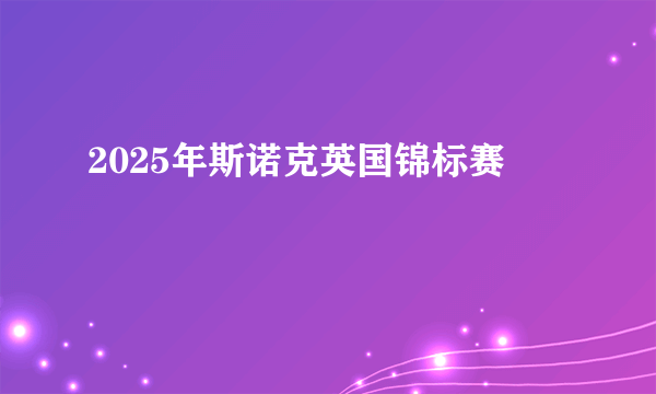 2025年斯诺克英国锦标赛