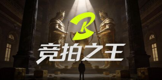 竞拍之王