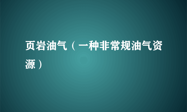 页岩油气（一种非常规油气资源）