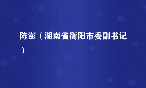 陈澎（湖南省衡阳市委副书记）
