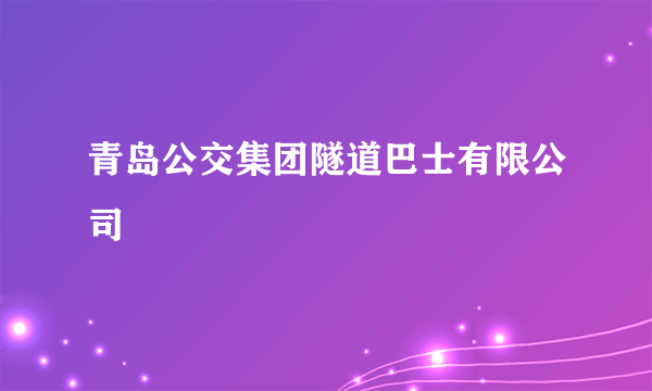 青岛公交集团隧道巴士有限公司