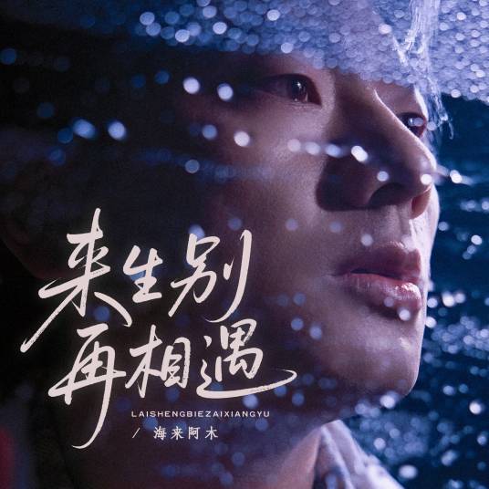 来生别再相遇（海来阿木演唱的歌曲）