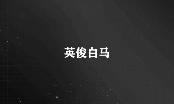 英俊白马