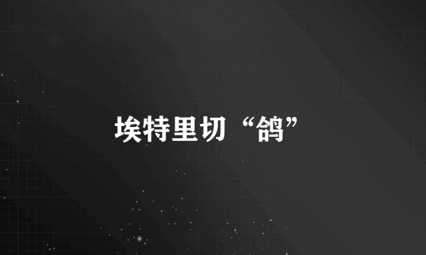 埃特里切“鸽”