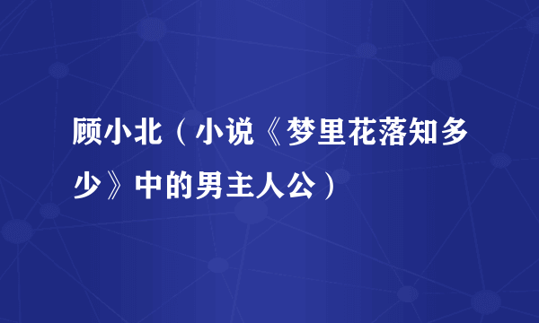 顾小北（小说《梦里花落知多少》中的男主人公）