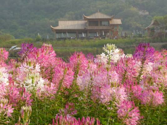 汕头市丹樱生态农业旅游有限公司