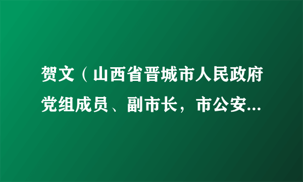 贺文（山西省晋城市人民政府党组成员、副市长，市公安局党委书记、局长、督察长（兼））