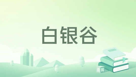白银谷（2020年北岳文艺出版社出版的图书）