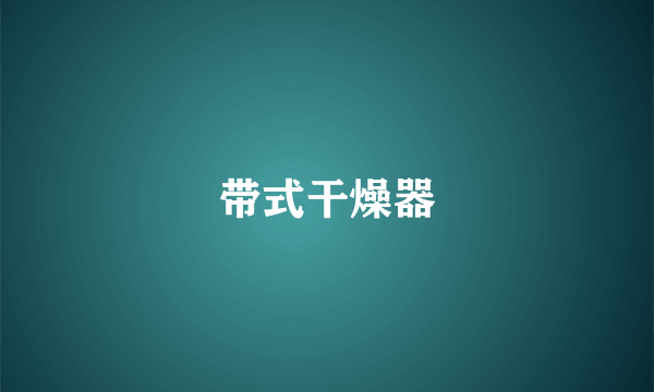 带式干燥器