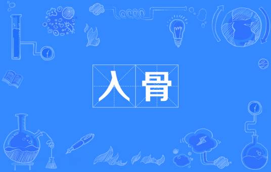 入骨(汉语词汇)